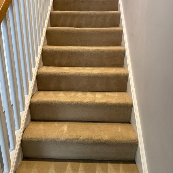 WhatsApp Image 2025-08-08 at 23.24.30_55fefe5c